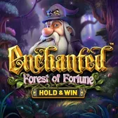 Enchanted: Forest Of Fortune - Hold & Win